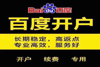 百度SEO推广策略案例：一家公司的成功转型之路